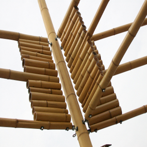 canna-bambu-diametro-10/12 cm