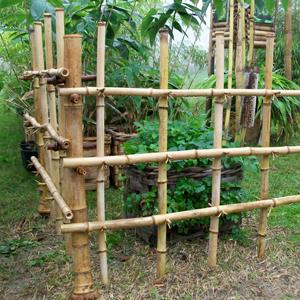 SBA canna bambu diametro 4cm 02